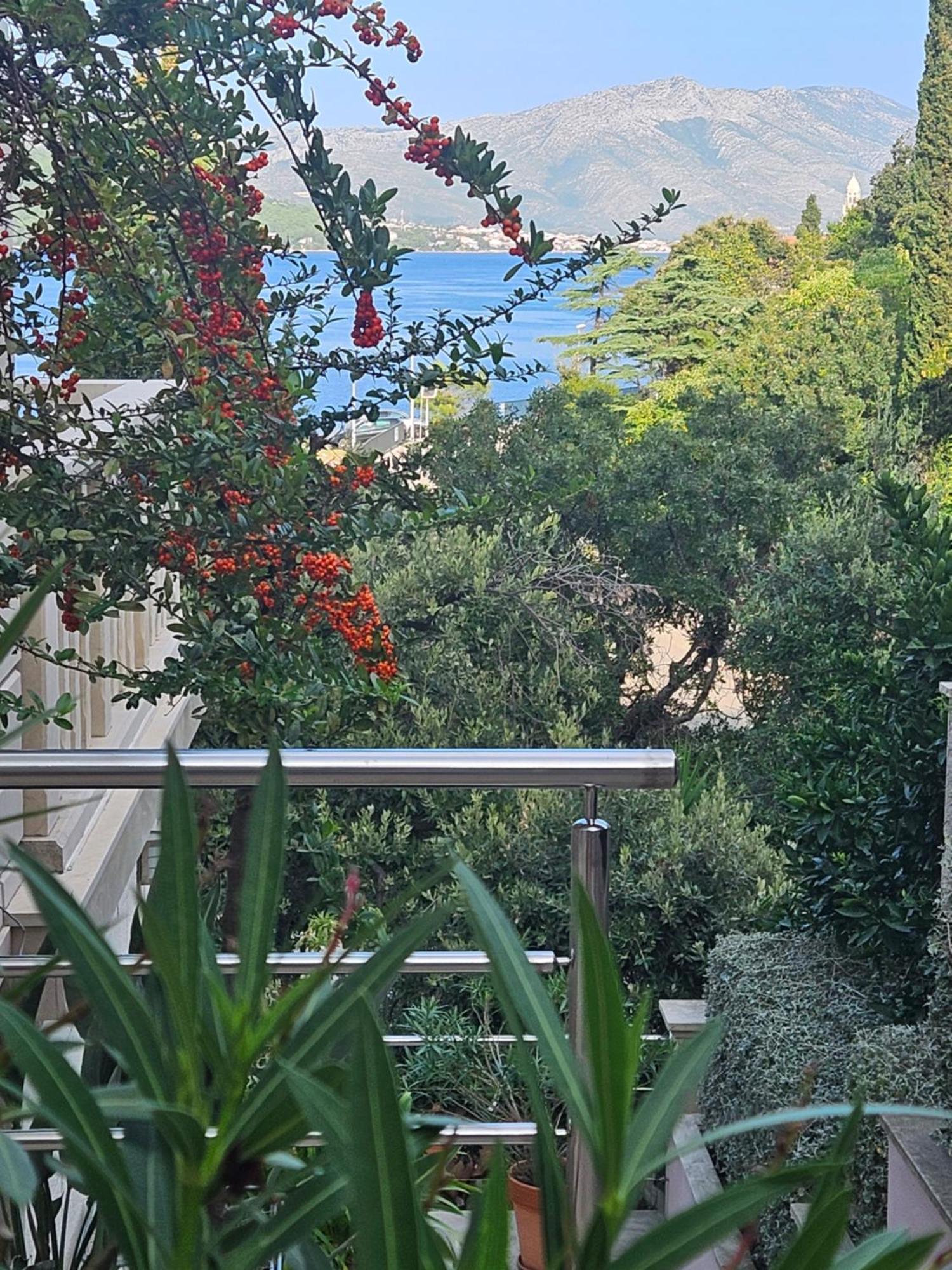 Villa Jade Apartments Front Row Sea View - Walk To Korcula Old Town Medvinjak 外观 照片