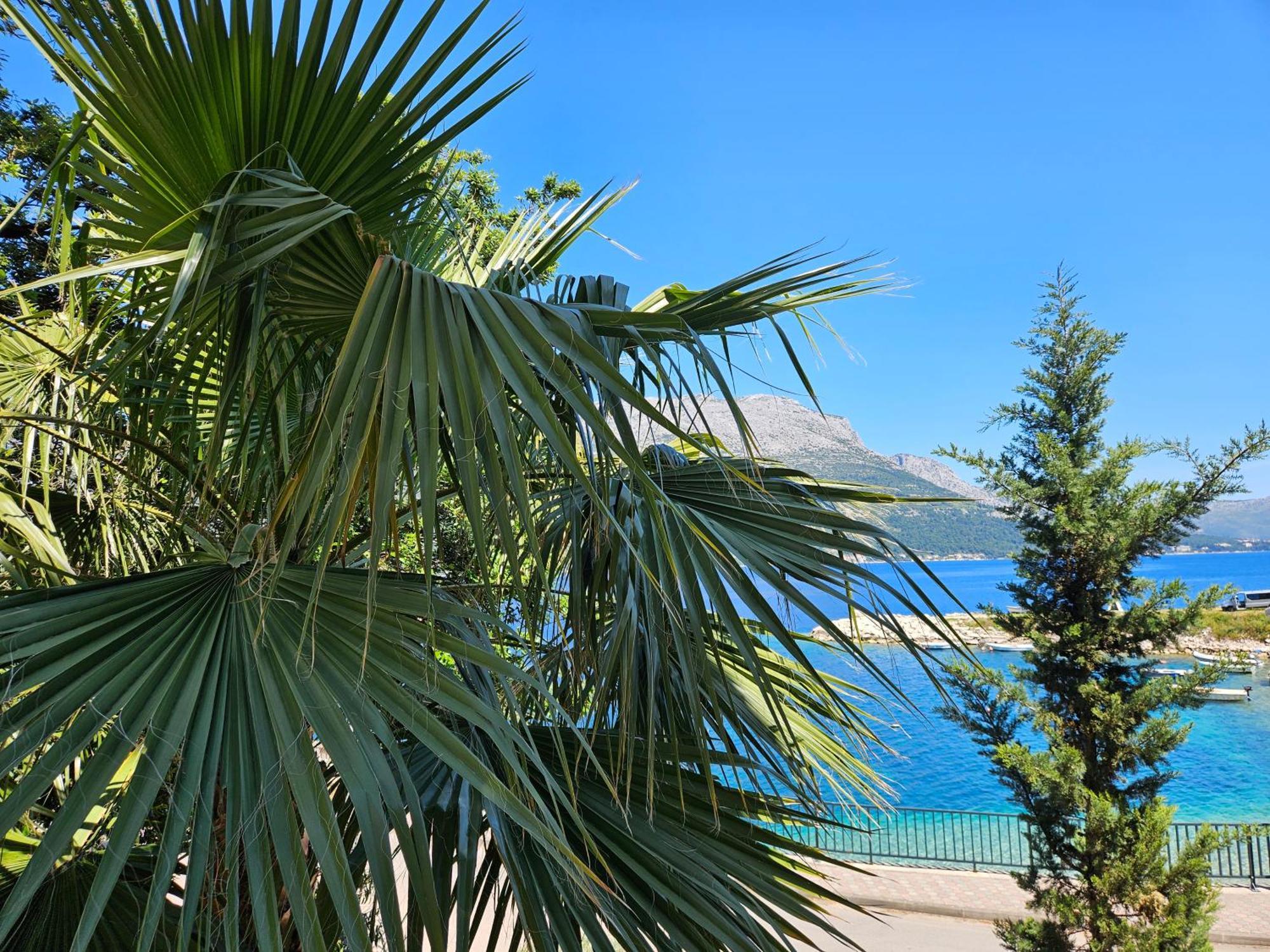 Villa Jade Apartments Front Row Sea View - Walk To Korcula Old Town Medvinjak 外观 照片