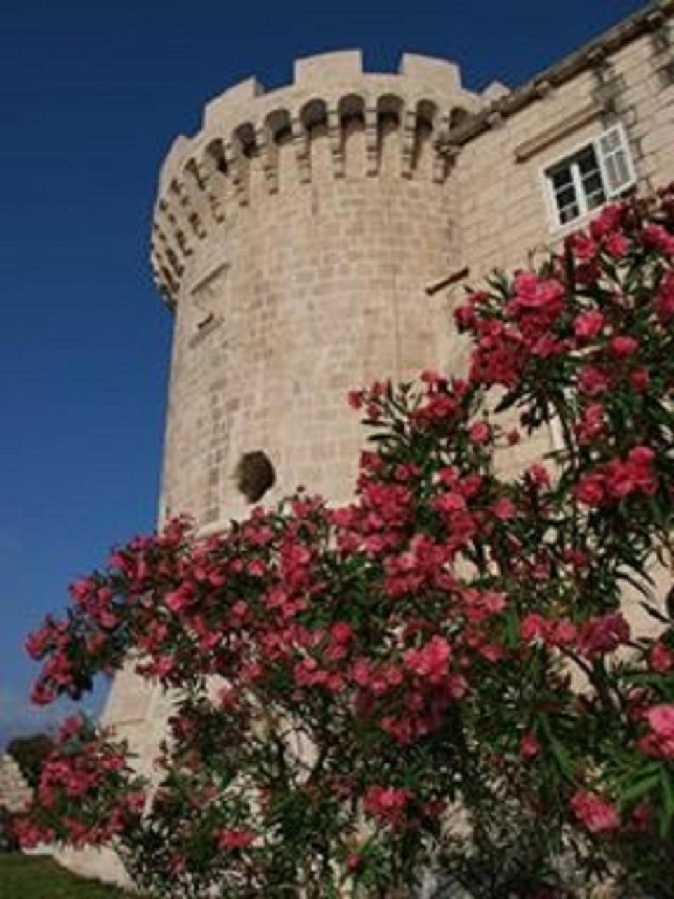 Villa Jade Apartments Front Row Sea View - Walk To Korcula Old Town Medvinjak 外观 照片