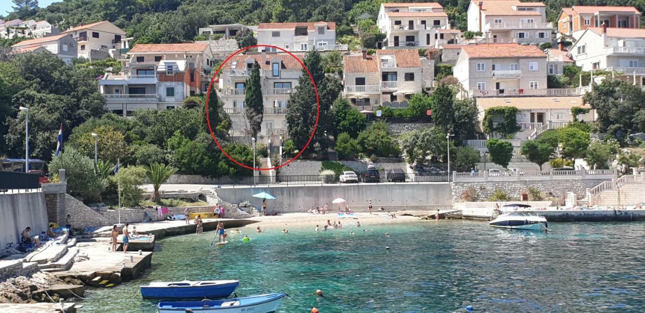 Villa Jade Apartments Front Row Sea View - Walk To Korcula Old Town Medvinjak 客房 照片